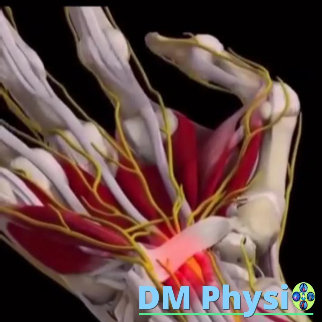 Среден етап на синдрома